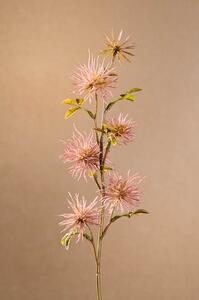 Paramit DRY MINI XANTHIUM Aranžovací květina 53 cm růžová