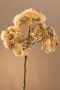 Paramit DRY WILD BERRY Aranžovací květina 45 cm krémová