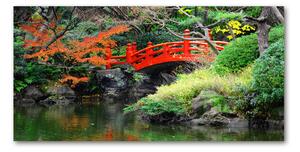 Foto obraz sklo tvrzené Japonská zahrada osh-61384677