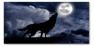 Foto obraz sklo tvrzené Vyjící vlk úplněk osh-61523126