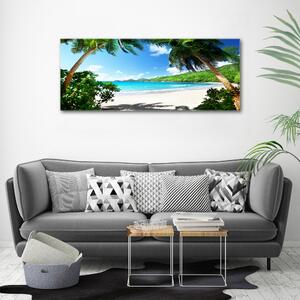 Foto obraz na plátně Seychely pláž oc-61515092