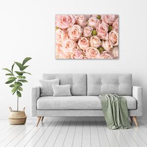 Moderní fotoobraz canvas na rámu Růže oc-61659920