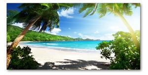 Moderní skleněný obraz z fotografie Seychely pláž osh-61788906