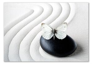 Fotoobraz na skle Kámen zen a motýl osh-62915953