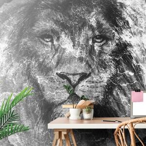 Tapeta černobílá tvář lva - 300x200 cm