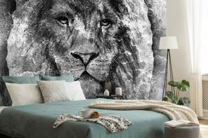 Samolepící tapeta tvář lva v černobílém provedení - 150x270