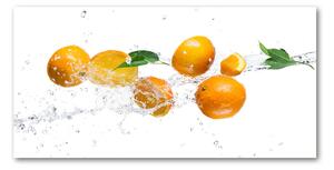 Fotoobraz na skle Pomeranče a voda osh-63072139
