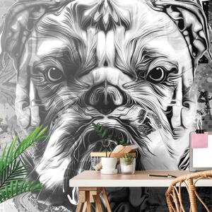 Tapeta pes v černobílém provedení - 150x100 cm