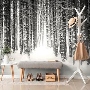 Samolepící fototapeta černobílý les zahalený sněhem - 450x300 cm