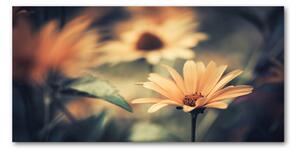 Foto-obraz fotografie na skle Jarní květ osh-64765143