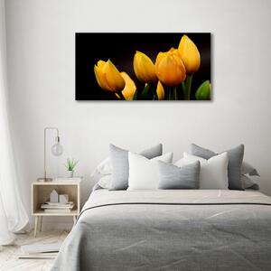 Foto obraz sklo tvrzené Žluté tulipány osh-64836622