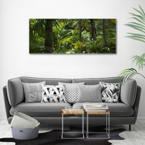 Foto obraz na plátně Tropický les oc-65033935