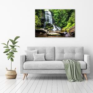 Foto obraz skleněný horizontální Vodopád v lese osh-65742204