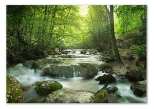 Fotoobraz na skle Vodopád v lese osh-65985516