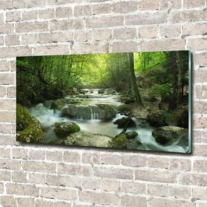 Fotoobraz na skle Vodopád v lese osh-65985516