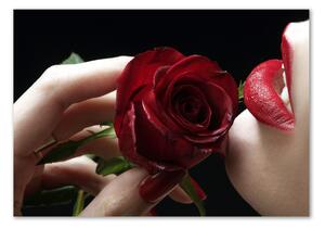 Foto obraz sklo tvrzené Žena s růži osh-6668624