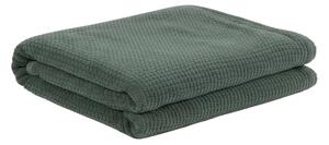 Textil Antilo Pléd Delme Green, zelený, 130x170 cm