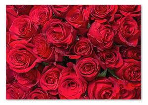 Fotoobraz na skle Červené růže osh-67561194