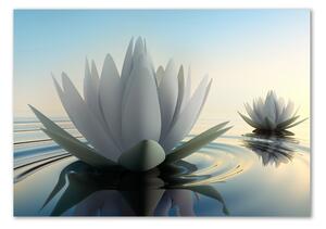 Fotoobraz na skle Květ lotosu osh-68293663