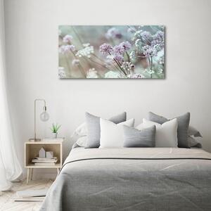 Moderní foto obraz na stěnu Divoké květiny osh-68608156