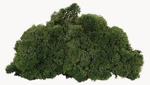 Umělá rostlina Moss