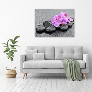 Moderní foto obraz na stěnu Orchidej kamení osh-69189175