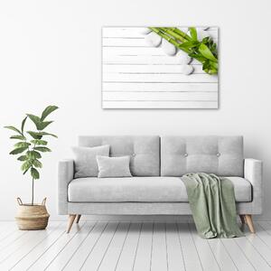 Moderní fotoobraz canvas na rámu Bambus oc-71294993