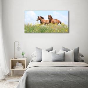 Fotoobraz na skle Dva koně ve cvalu osh-71484450