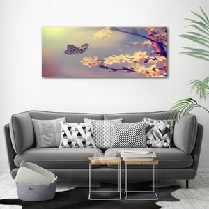 Moderní obraz canvas na rámu Květ viště a motýl oc-72331211