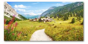 Foto obraz skleněný horizontální Pastvina v Alpách osh-73408586