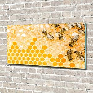 Fotoobraz na skle Pracující včely osh-74378590