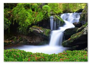 Fotoobraz na skle Vodopád v lese osh-76241598