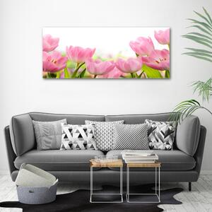 Foto obraz skleněný horizontální Růžové tulipány osh-76412458