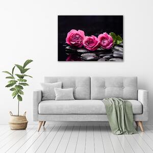 Foto obraz na plátně do obýváku Růžové růže oc-77048055