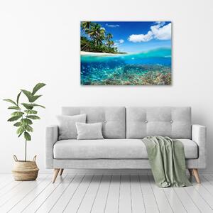 Foto obraz na plátně Korálový útes oc-78236057
