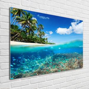 Fotoobraz na skle Korálový útes osh-78236057