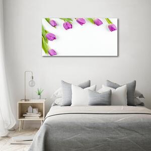 Moderní skleněný obraz z fotografie Fialové tulipány osh-78573099