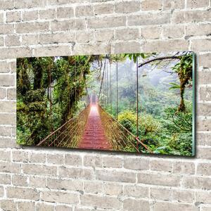 Fotoobraz na skle Most v pralese osh-79141355