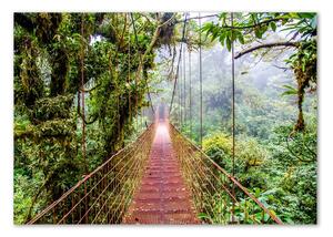 Fotoobraz na skle Most v pralese osh-79141355