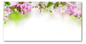 Foto obraz sklo tvrzené Jarní květiny osh-79458656