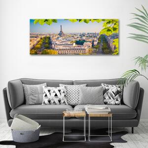 Foto obraz canvas Paříž oc-80291148