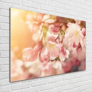 Foto obraz sklo tvrzené Květy višně osh-81037561