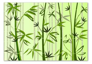 Fotoobraz na skle Bambus osh-81290277