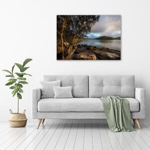 Foto obraz na plátně Strom nad řekou oc-81725994