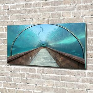 Fotoobraz na skle Tunel akvárium osh-82197217
