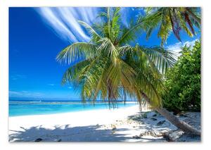 Foto obraz sklo tvrzené Tropická pláž osh-82585815