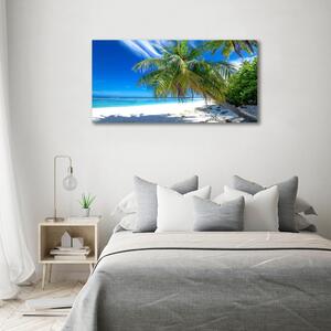 Foto obraz na plátně Tropická pláž oc-82585815