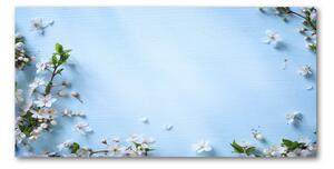 Foto obraz fotografie na skle Květy višně pozadí osh-82769762