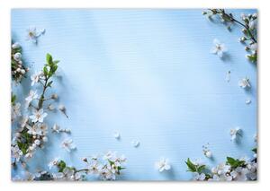 Foto obraz fotografie na skle Květy višně pozadí osh-82769762
