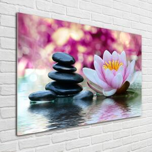 Foto obraz skleněný horizontální Vodní lilie osh-84917888